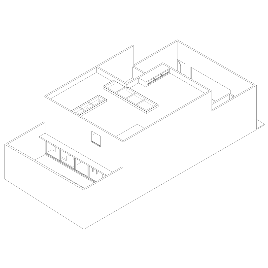 Casa en Los Regadíos — Isométrico 03